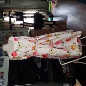 HOST PICK X7. Women's Danny & Nicole Sleeveless Formal Dress